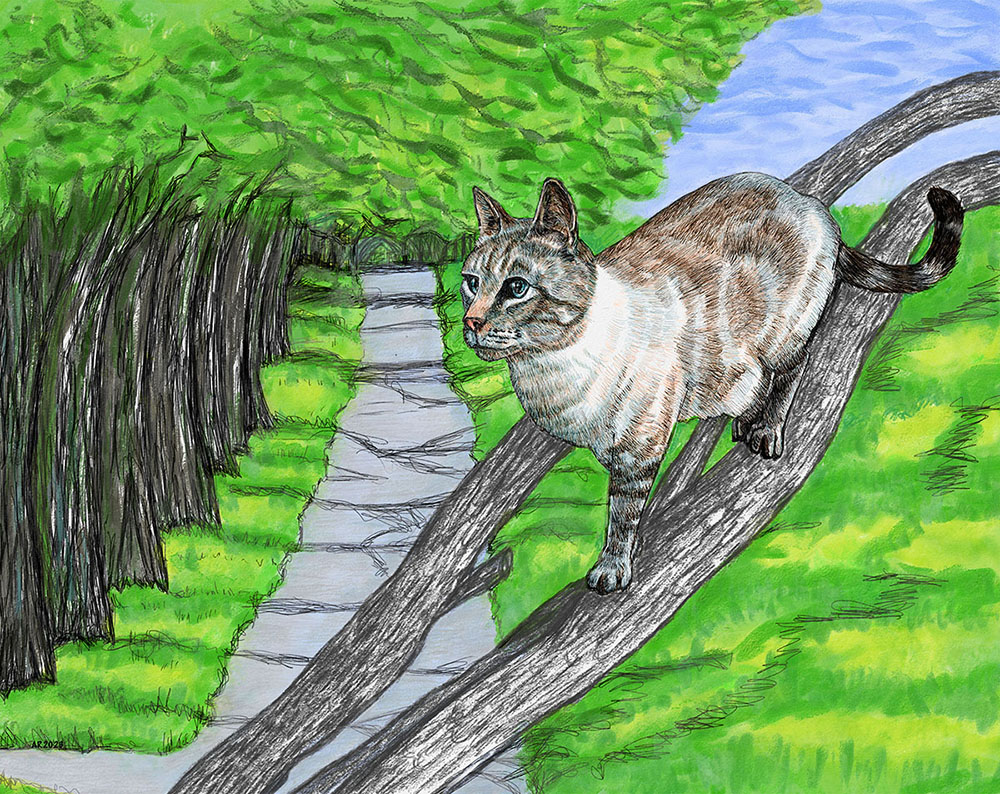 Cream and brown cat climbing tree, tree lined sidewalk