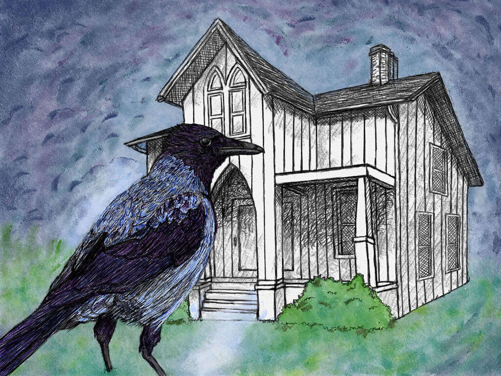 Hooded Crow in front of house